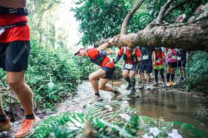 BIB: 
                            <button type="button" onclick="openModal(25469371)" class="btn btn-primary btn-sm float-right btn-popup" data-toggle="modal" data-target=".modal-high-quality">
                        <i class="fas fa-shopping-cart"></i> Add to Cart
                    </button>
                                            <button type="button" onclick="isThisMe(25469371, true)" class="btn btn-success btn-sm float-right btn-popup btn-isme hidden" data-toggle="tooltip" data-placement="bottom" title="นี่คือรูปของคุณใช่ไหม คลิกที่นี่เพื่อเอาเข้าอัลบั้ม">
                        <i class="fas fa-plus"></i> Add to album
                    </button>
                    <button type="button" onclick="isThisMe(25469371, false)" class="btn btn-warning btn-sm float-right btn-popup btn-isnotme hidden">
                        <i class="fas fa-ban"></i> Remove from album
                    </button>